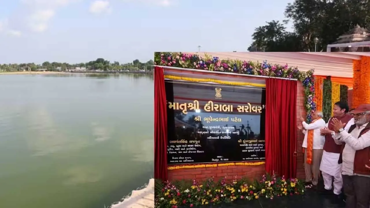 શું સિદ્ધપુરમાં હીરાબા સરોવરનું કામ સવજી ધોળકીયાનું ફાઉન્ડેશન નથી કરવાનું?