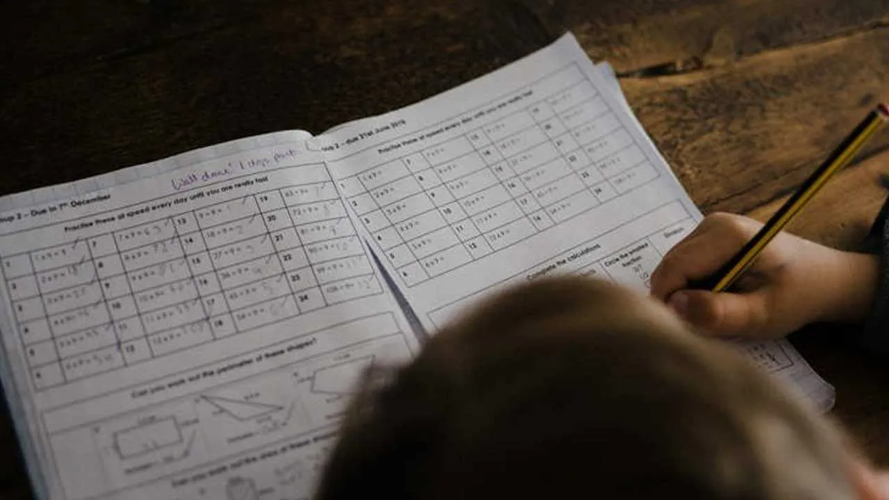 Child School Homework