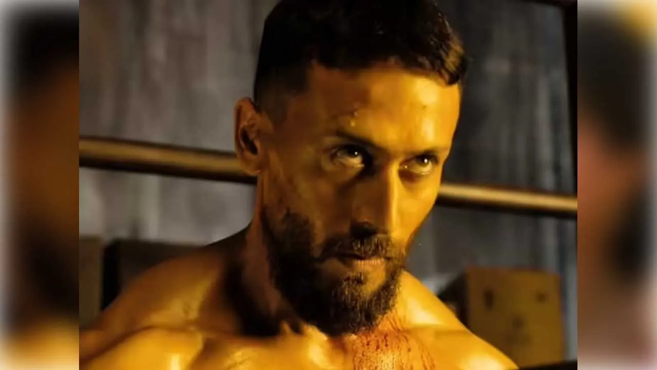 Box Office Collection 