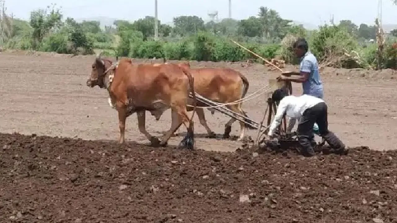 Gold-Price-Stock-Market 