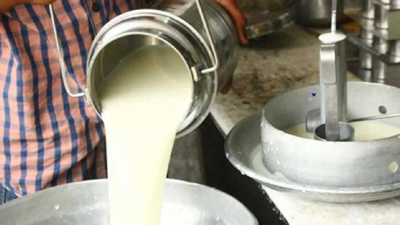 બોલો,  ઉત્તર ગુજરાતની એક દૂધ મંડળીમાં 11 લાખ રૂપિયાનું દૂધ પંખાને કારણે ઉડી ગયું