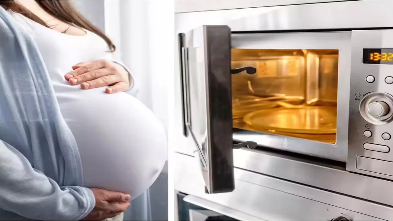 'ગર્ભવતી થવા પર માઈક્રોવેવ મફત મળશે...' સ્વીડનમાં આ ઓફરથી હોબાળો