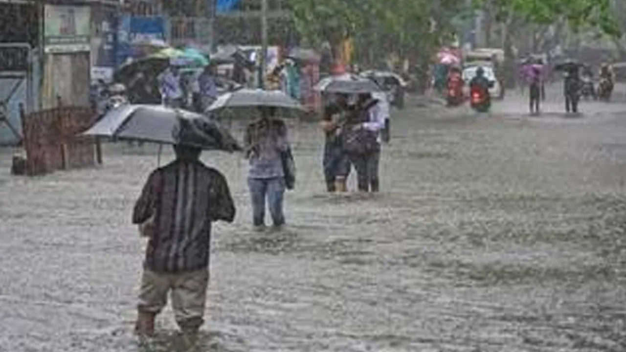 ગુજરાતમાં સિઝનનો 106% વરસાદ, 392 રસ્તા બંધ – 8357 લોકોનું કરાયું સ્થળાંતર