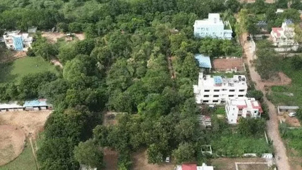 16 વૃક્ષપ્રેમી મિત્રોની કહાની, જેમણે 40 કરોડનો પ્લોટ વૃક્ષો માટે આપી દીધો