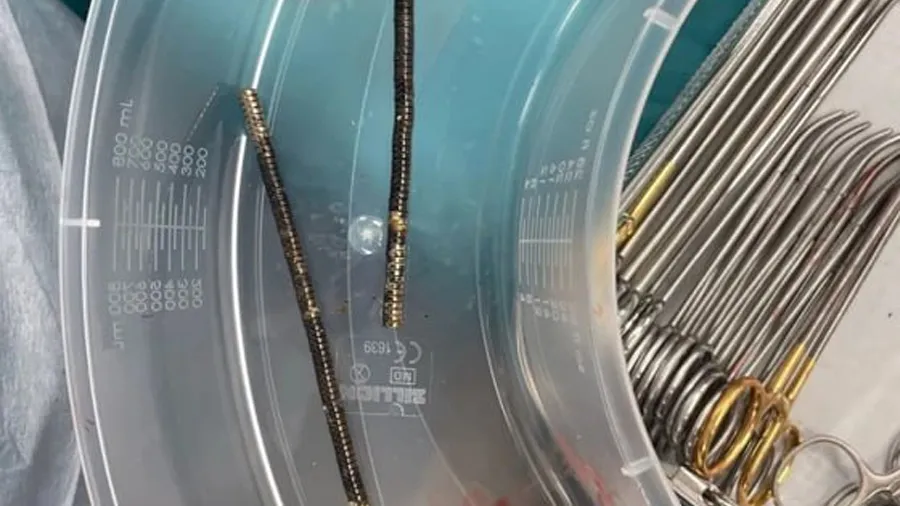 Boy-Swallows-Magnets-3- 