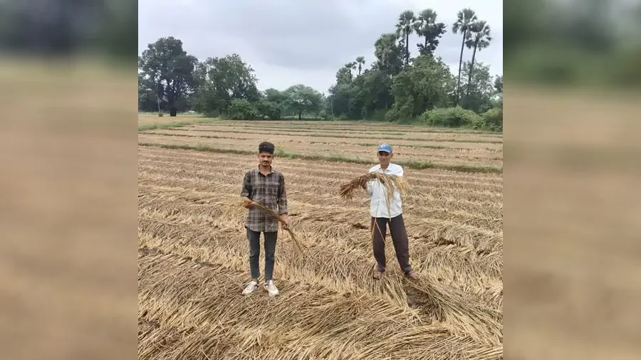 farmers.jpg-5