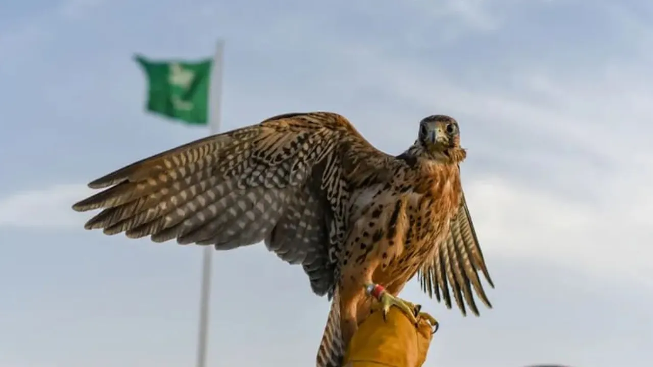 સાઉદી અરબમાં વેચાયું વિશ્વનું સૌથી મોંઘું બાજ, કિંમત જાણીને ચોંકી જશો! આટલામાં તો એક મર્સિડીઝ કાર આવી જાય