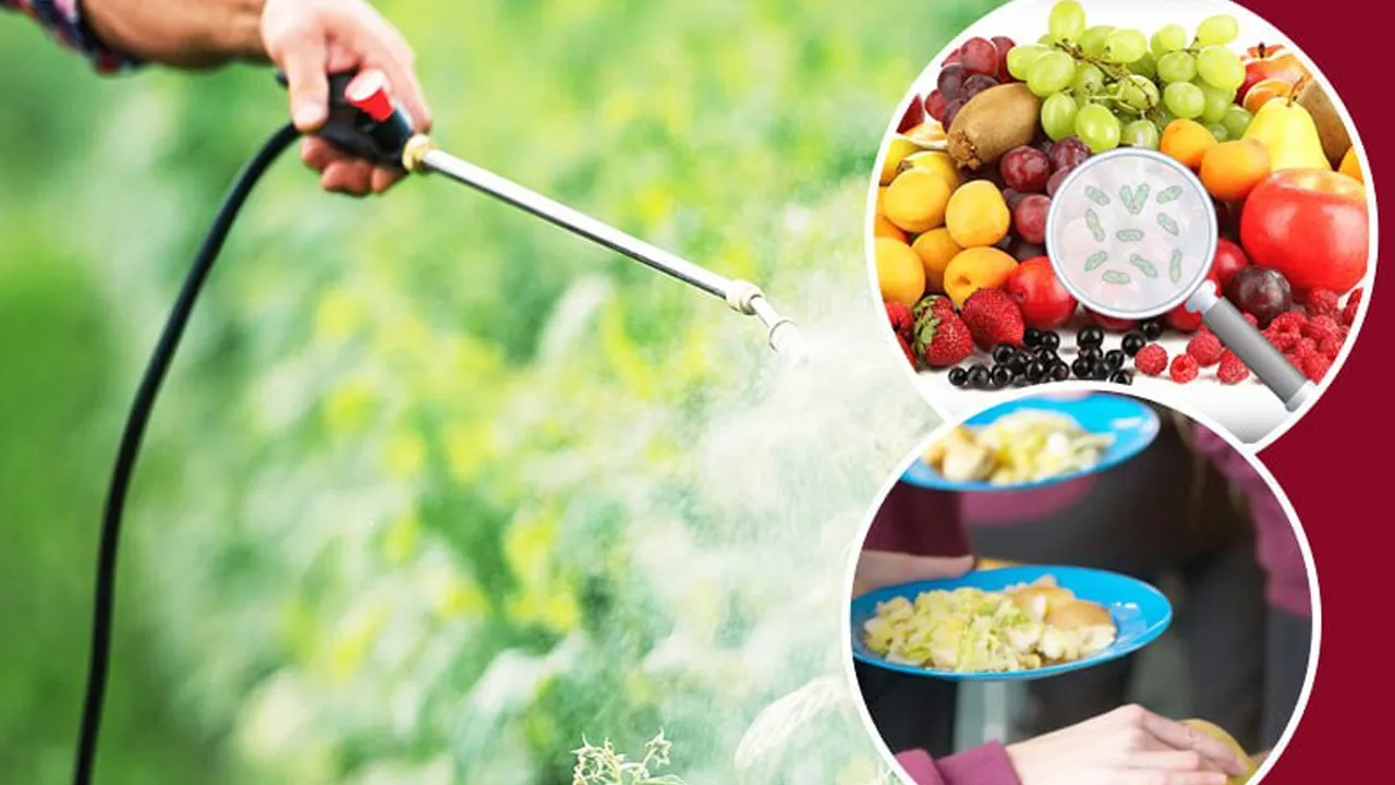 Pesticides-Human-Health 