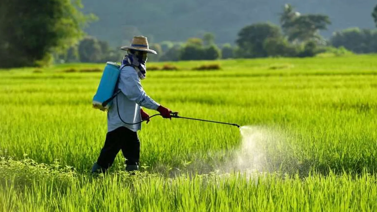 Pesticides-Human-Health4 
