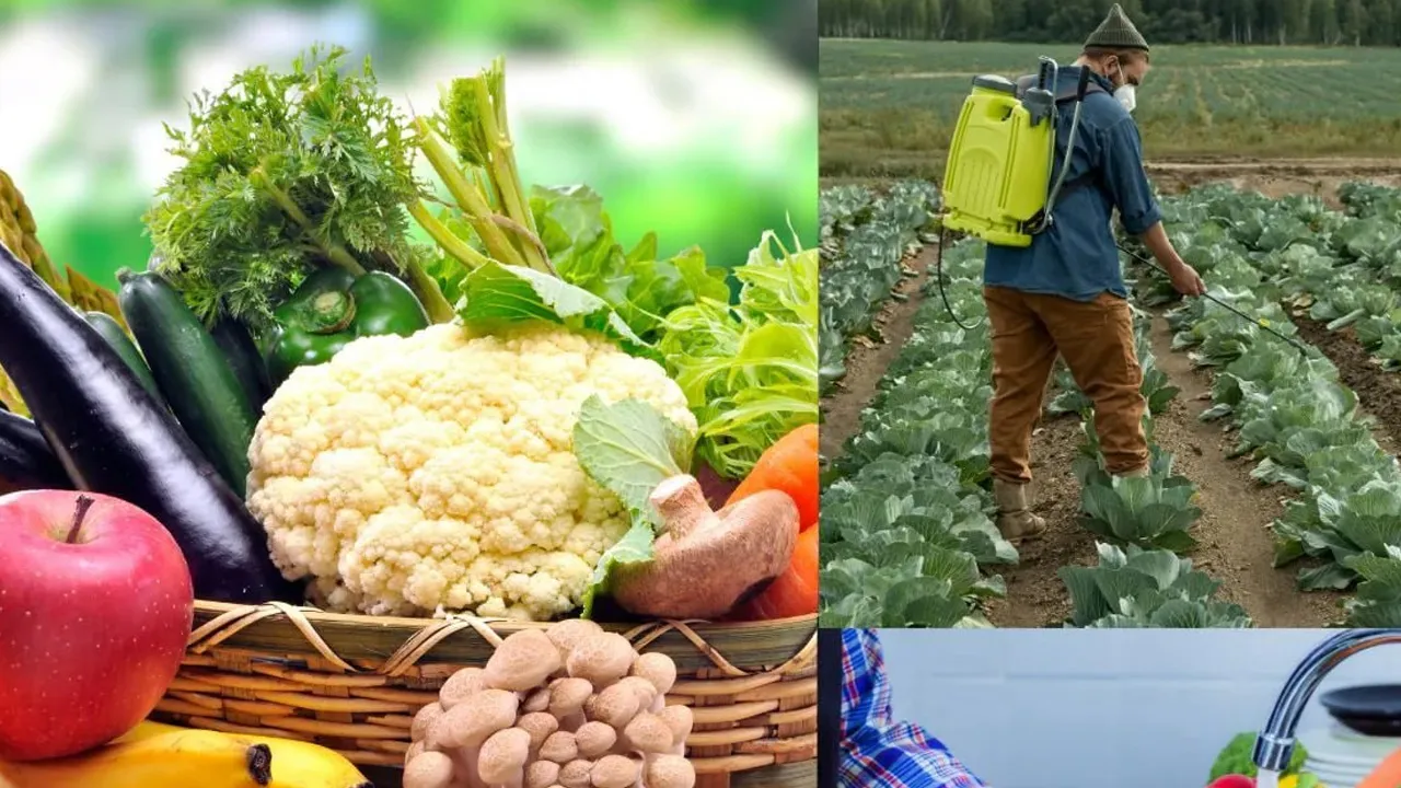 તમારી થાળીમાં પીરસવામાં આવતી ખાવાની આ વસ્તુ હાર્ટ બ્લોકેજનું જોખમ વધારી રહી છે! જાણો તેનું કારણ શું છે