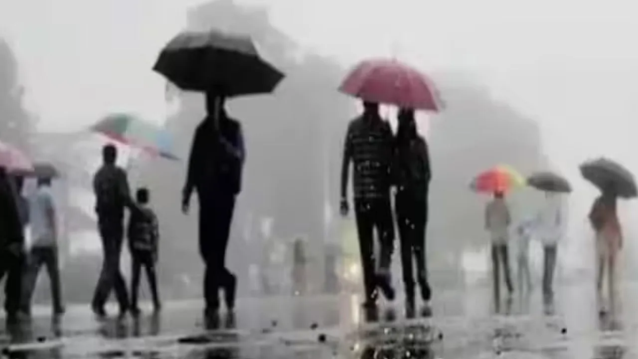 ગુજરાતમાં આગામી 7 દિવસ વરસાદની આગાહી, 2 દિવસ ભારે વર્ષા