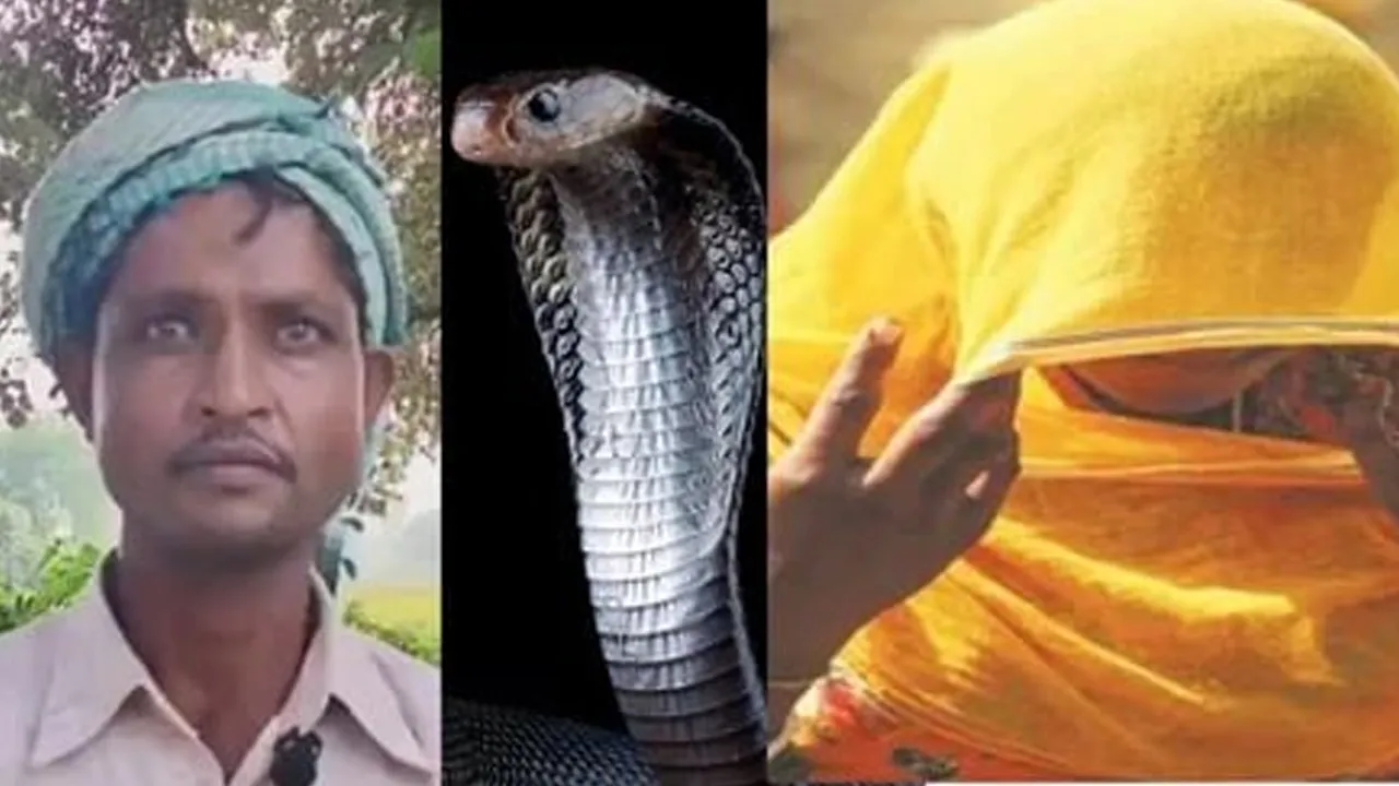 'રાત્રે મારી પત્ની નાગણ બની જાય છે...' ડરેલા પતિએ DMને પોતાનો જીવ બચાવવા માટે વિનંતી કરી