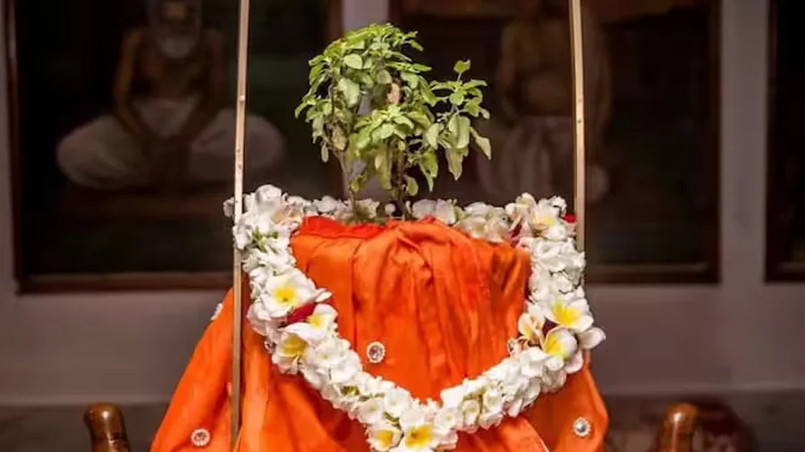 Tulsi-Vivah-2