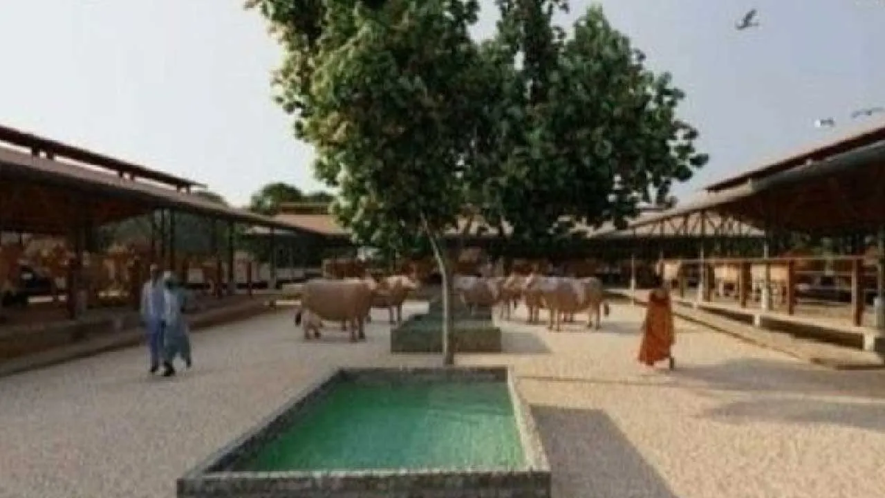 PMના ગામમાં દેશનું સૌથી પહેલું ગૌચર પાર્ક 15 કરોડના ખર્ચે બનશે