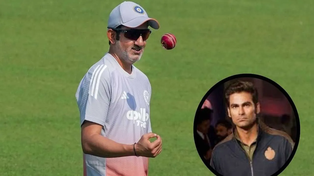 ટીમના પૂર્વ ખેલાડીએ કોચ પર આરોપ લગાવતા કહ્યું ટીમમાં ભયનું વાતાવરણ છે