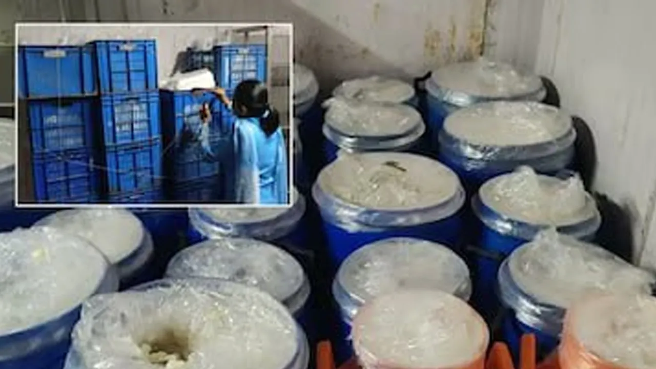 સુરતની સુરભી ડેરીના ગોડાઉન, ફેકટરીમાંથી 955 કિલો નકલી પનીર પકડાયું