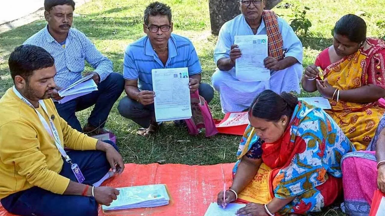 Bengal Family-Missing Son