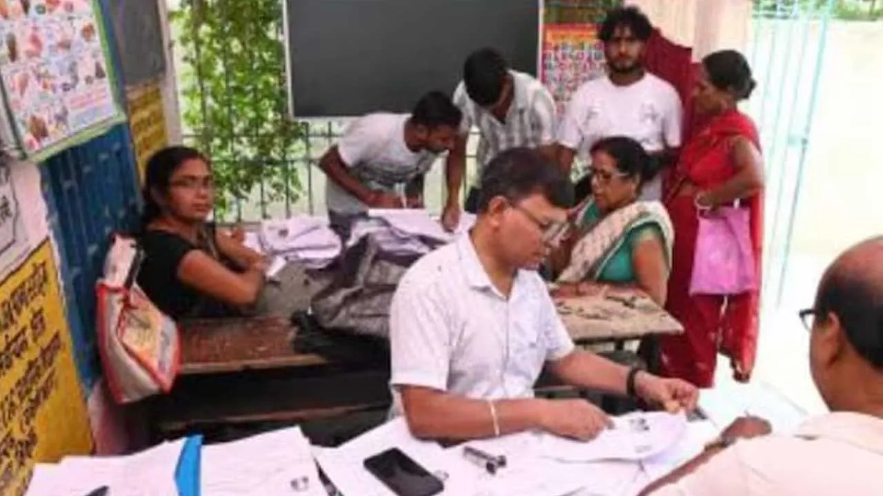 Bengal Family-Missing Son