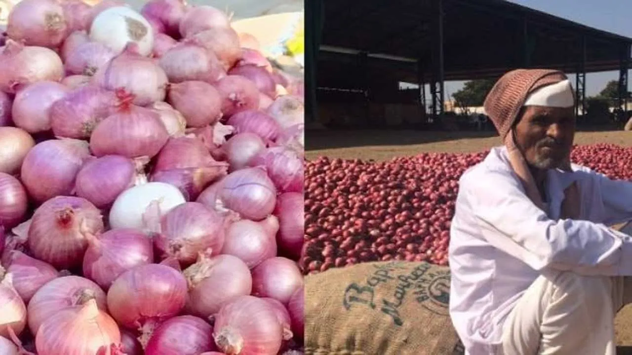 ડુંગળીએ ખેડૂતોને રડાવ્યા, બે રૂપિયે કિલો વેચાઈ રહી છે...', કોંગ્રેસે કહ્યું- બરબાદ કરી દીધા