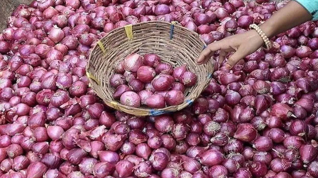 Onion-Farmers