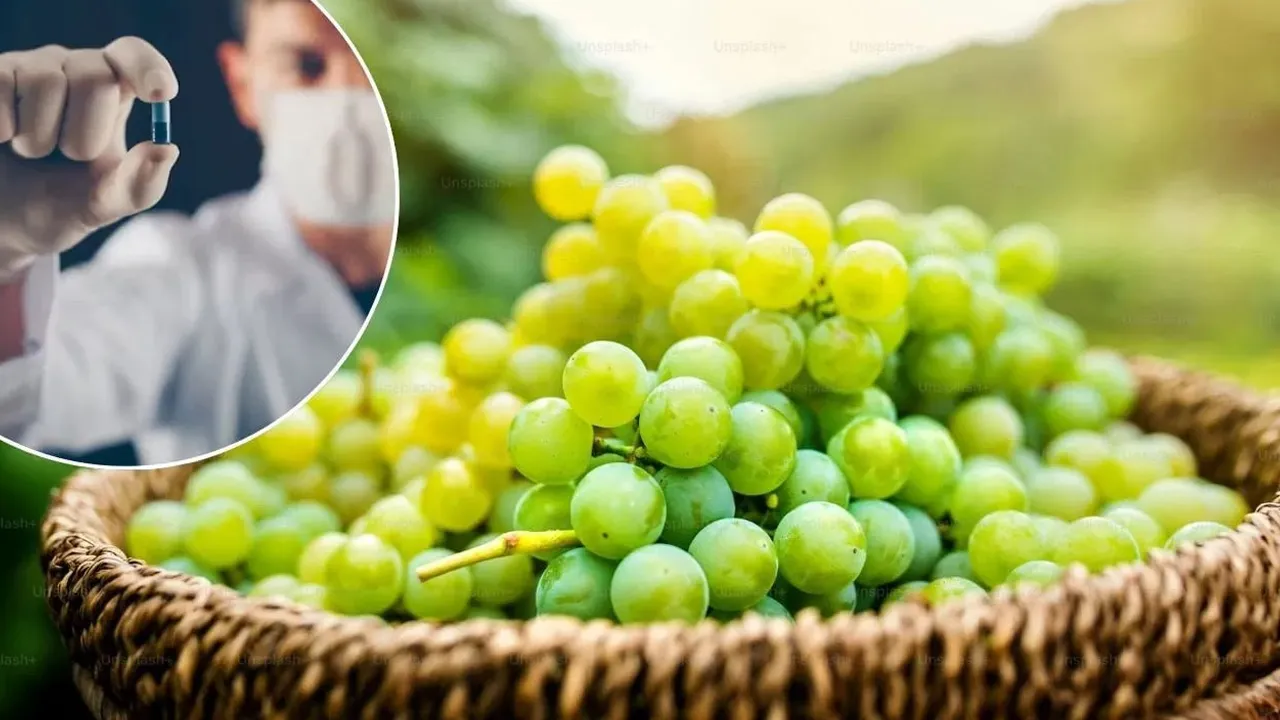 માનવ 150 વર્ષ સુધી જીવી શકશે; ચીની વૈજ્ઞાનિકોએ વૃદ્ધત્વ જલ્દી આવતું અટકાવવા માટે દવા વિકસાવી!