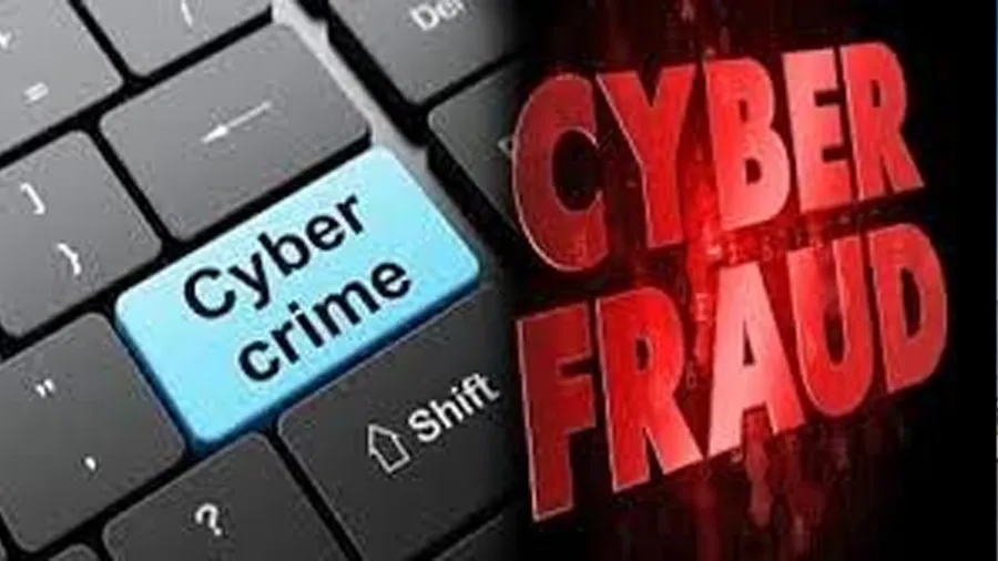 cyber-crime
