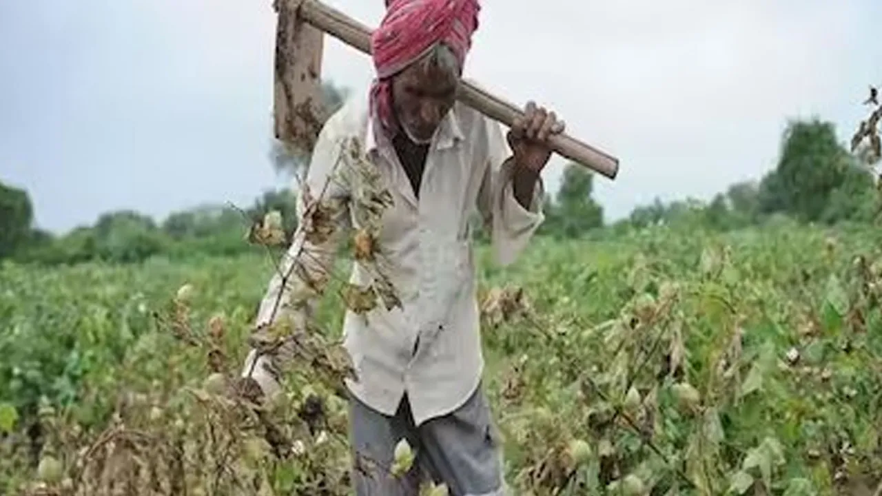 કૃષિ સહાય સાથે વેરા વસૂલાતનો વિવાદ:કાલાવડ TDOને શોકોઝ, DDOની તાત્કાલિક કાર્યવાહી