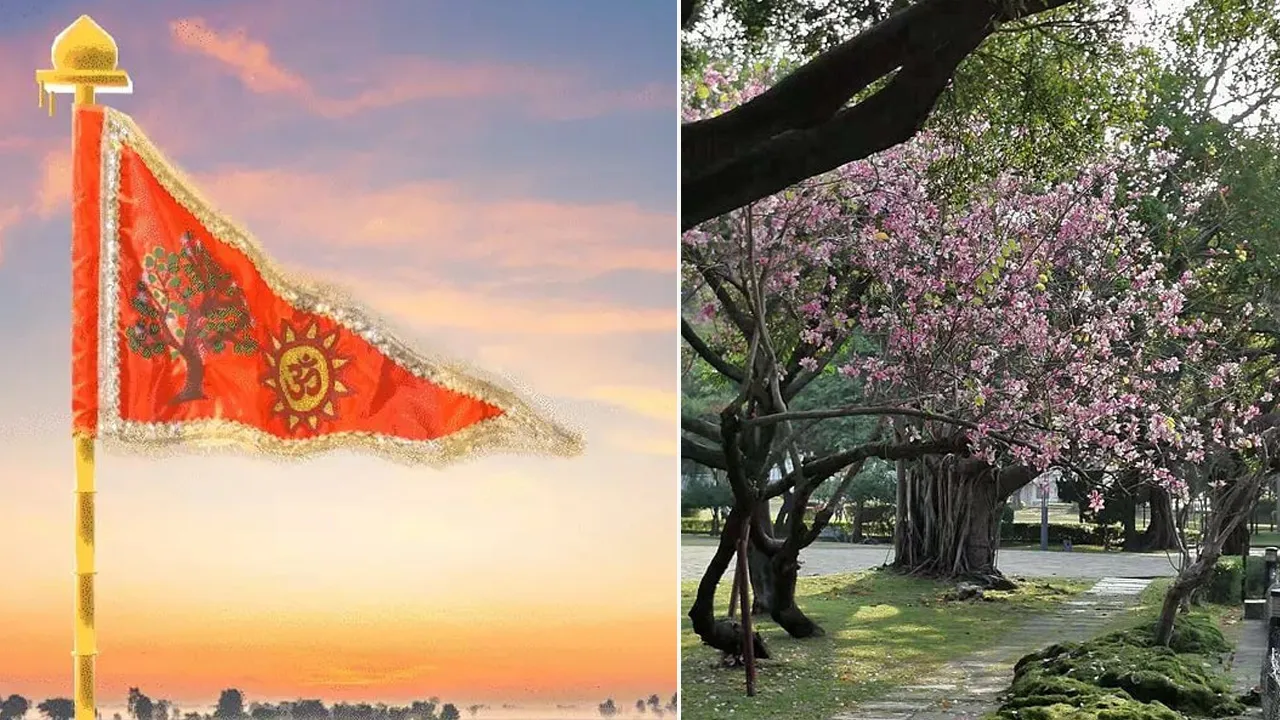 અયોધ્યા રામ મંદિરની ધર્મ ધ્વજા પર અંકિત થયેલું કોવિદારનું વૃક્ષ શું છે, જાણો 
