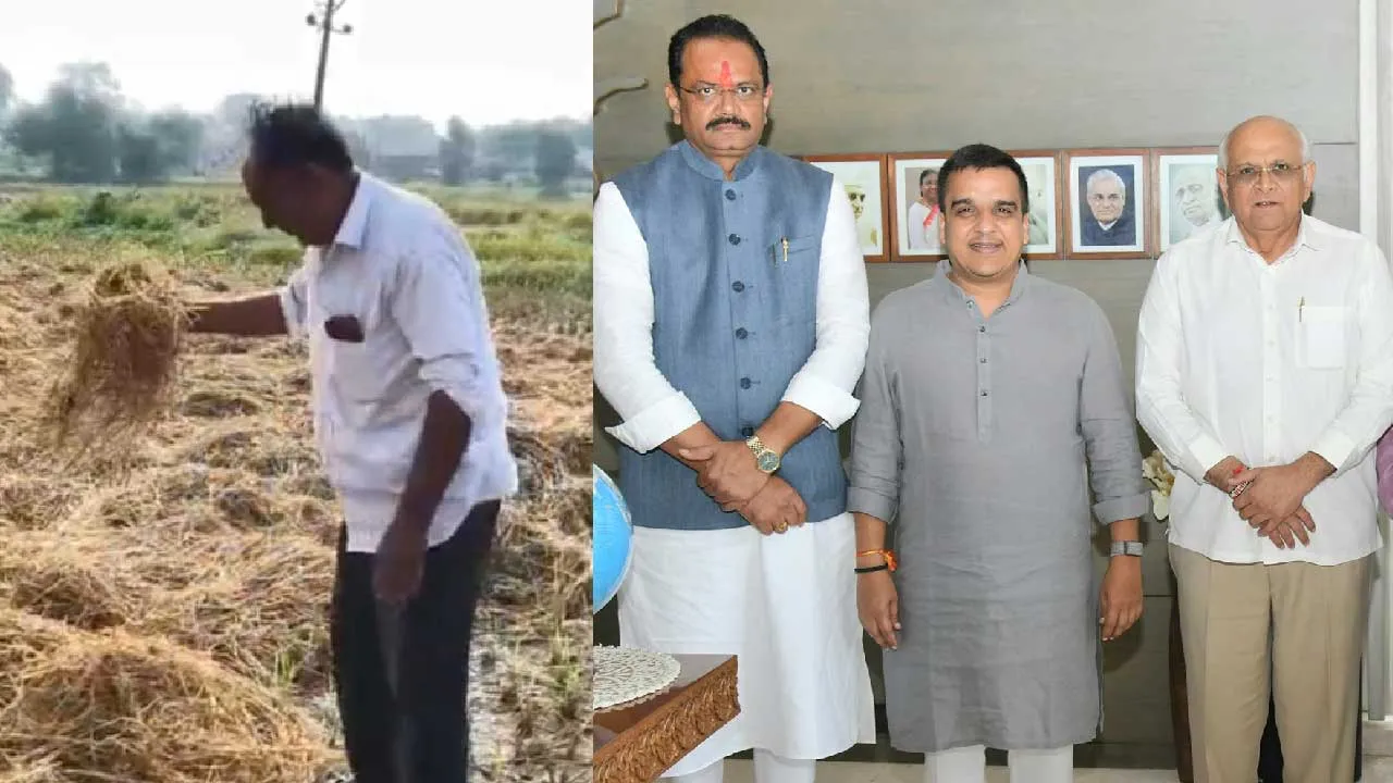 કમોસમી વરસાદથી થયેલા પાક નુકસાન માટે હેક્ટરે 22000 રૂપિયા સહાય ચૂકવાશે, વધુમાં વધુ...