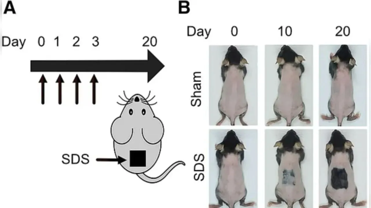 photo_2025-11-13_16-03-48