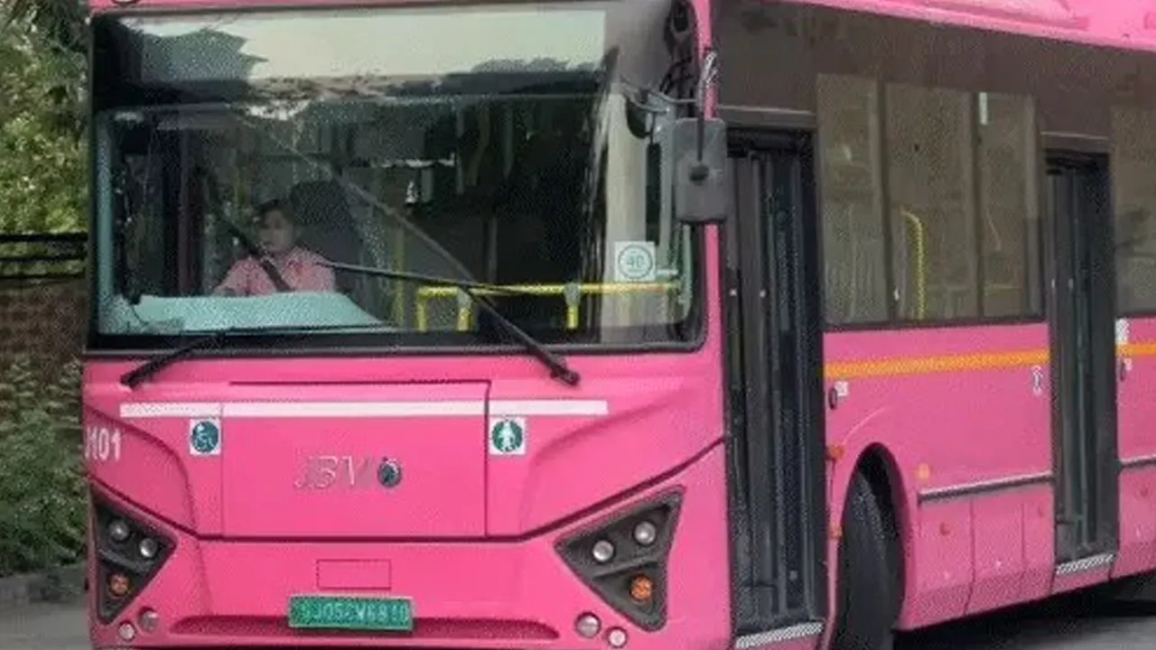 pink-bus3 
