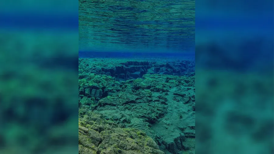 પેસિફિક મહાસાગરના નીચેના ભાગે ધરતીના બે ભાગ થઇ રહ્યા છે... શું કોઈ મોટું સંકટ તો નથી આવવાનું ને?