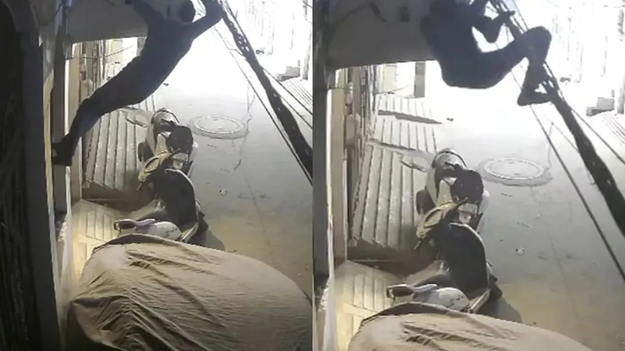 સ્પાઇડરમેન સ્ટાઇલમાં ઘરમાં ઘૂસ્યો ચોર, લગભગ 45 લાખનો મુદ્દામાલ લઈને થયો ફરાર