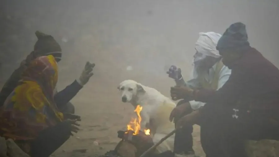 ગુજરાતમાં ઠંડીનો રાઉન્ડ શરૂ : કેટલાક વિસ્તારોમાં તાપમાન 10 ડિગ્રીથી નીચે જશે