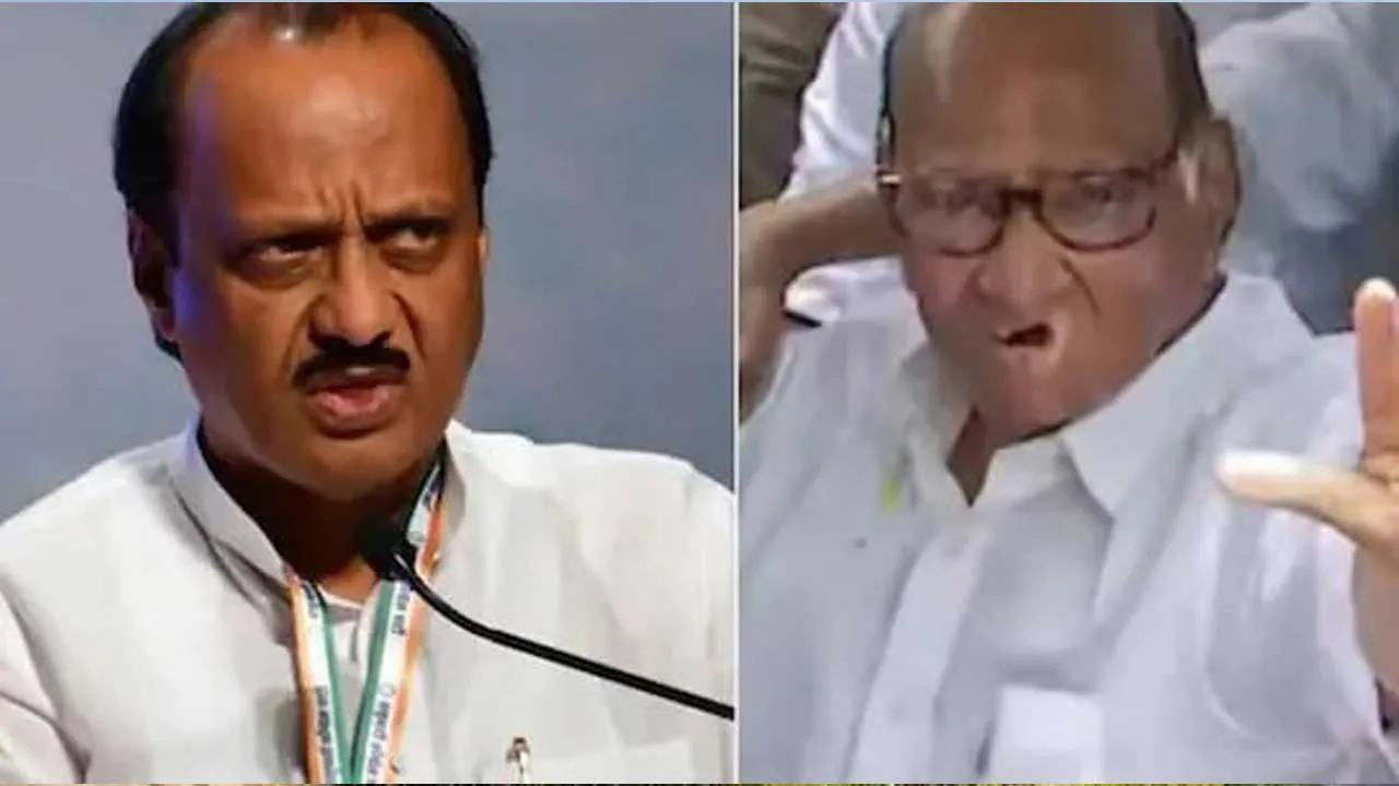 મહારાષ્ટ્ર મ્યુનિસિપલ ચૂંટણીમાં સત્તા માટે શું NCP ફરી એક થવા જઈ રહ્યું છે?