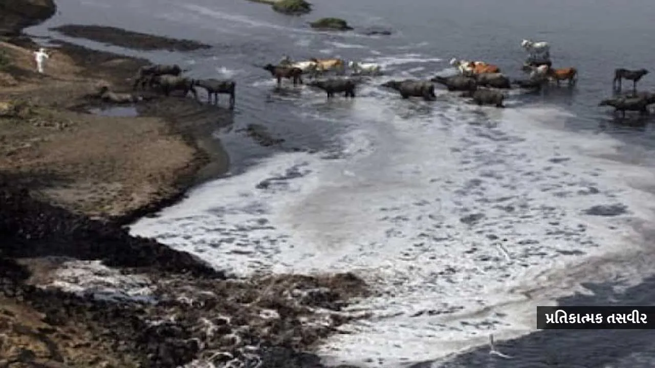 પ્રદૂષણ કરશો તો દંડ ભરીને છૂટી જશો, જેલ નહીં જવું પડે