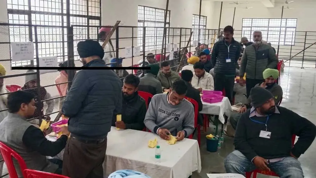 પંજાબ સ્થાનિક સ્વરાજ્યની ચૂંટણીમાં AAP સૌથી આગળ અને કોંગ્રેસ...