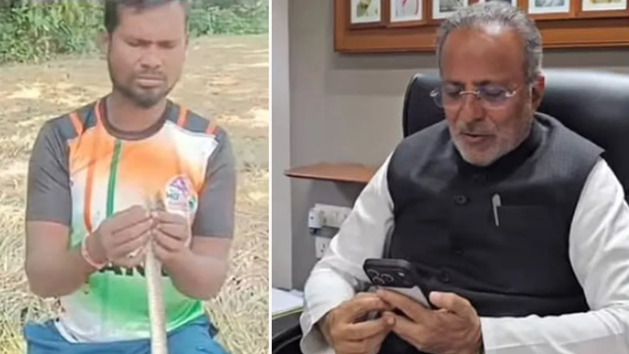 વીજ કરંટથી સાંપ બેભાન થયો તો શખ્સે CPR આપીને બચાવ્યો જીવ, અર્જૂન મોઢવાડિયાએ કરી પ્રશંસા 