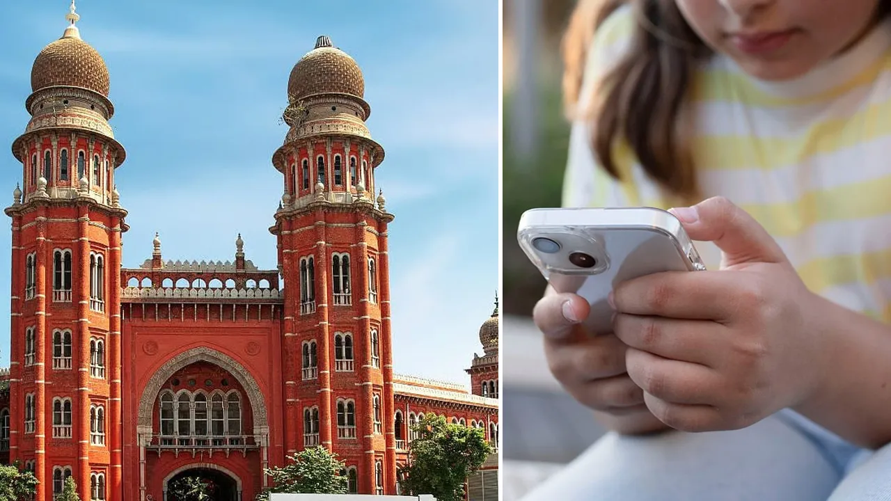 શું ભારતમાં પણ 16 વર્ષથી ઓછી ઉંમરના બાળકોના સોશિયલ મીડિયા વાપરવા પર બેન લાગશે? કોર્ટે સરકારને કહ્યું...