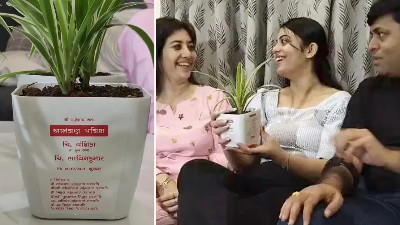 સુરતના પરિવારે સ્પાઇડર પ્લાન્ટના કુંડા પર બનાવડાવી આમંત્રણ પત્રિકા