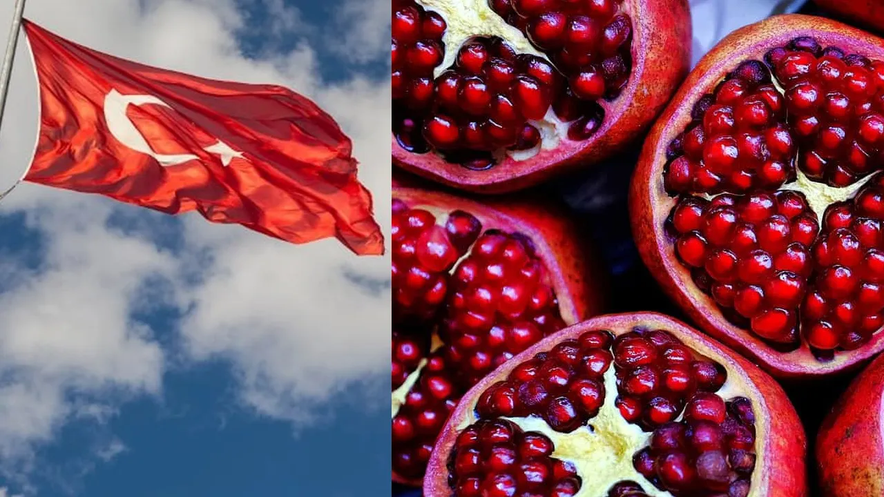 તુર્કીમાં નવા વર્ષે દાડમ કેમ ફોડવામાં આવે છે? શું છે તેના દાણાઓ સાથે કનેક્શન?