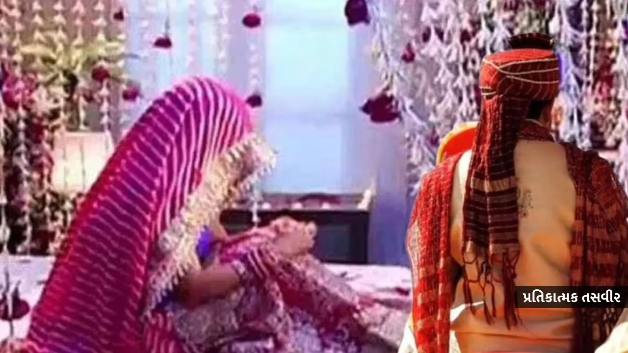 લગ્નના 24 કલાકમાં જ છૂટાછેડા! જાણો પૂણેના ડૉક્ટર દંપતી વચ્ચે એવું તે શું બન્યું કે આવો આકરો નિર્ણય લીધો