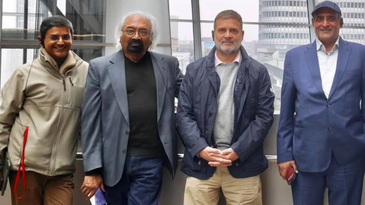 શું છે પ્રોગ્રેસીવ અલાયન્સ, જેની બેઠક માટે જર્મની ગયા છે રાહુલ ગાંધી