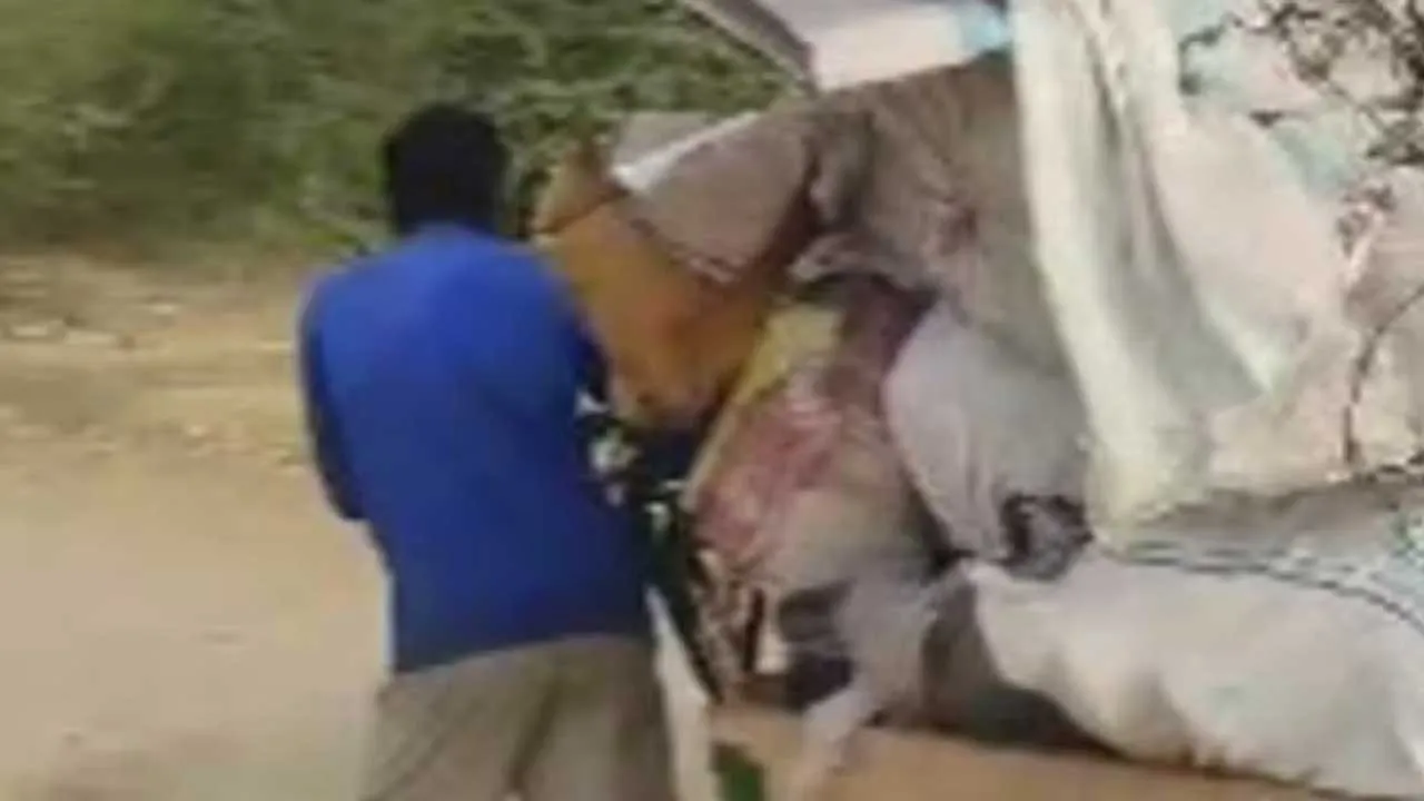 Lucknow-School Books