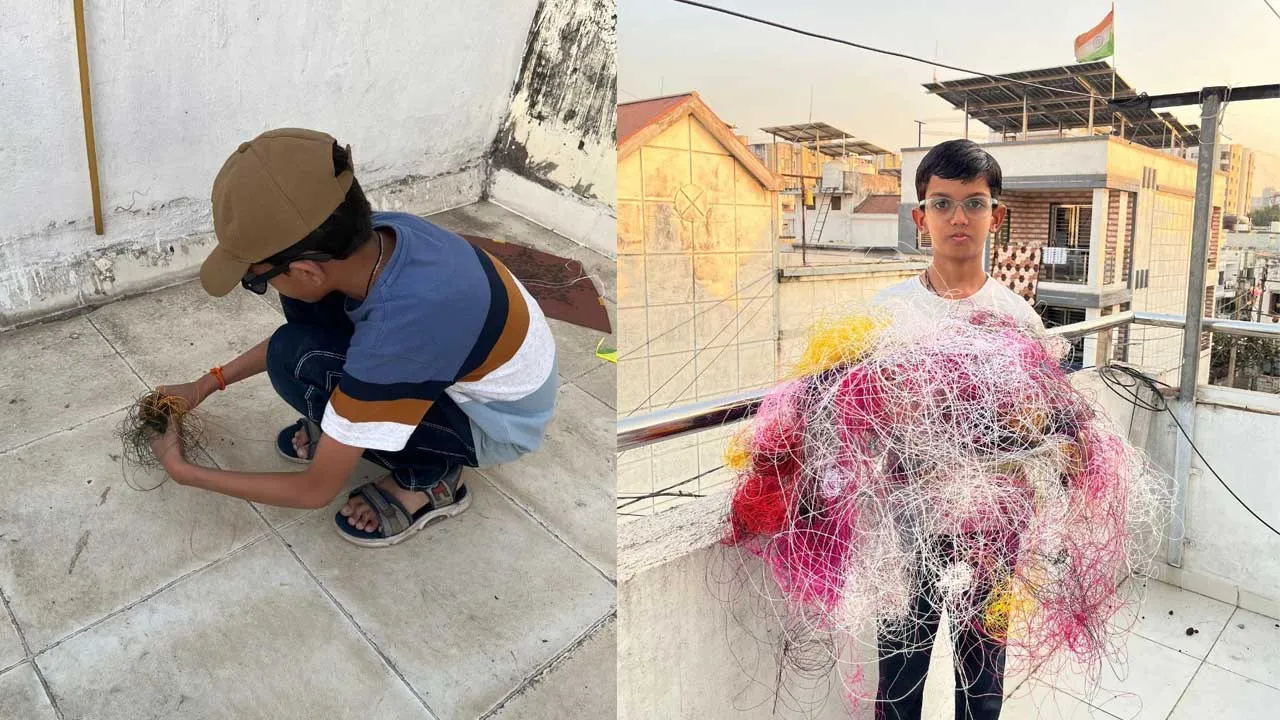 સુરતના અથર્વ કાપડીયાનું અબોલ પક્ષીઓ માટે અદભુત સેવાકાર્ય