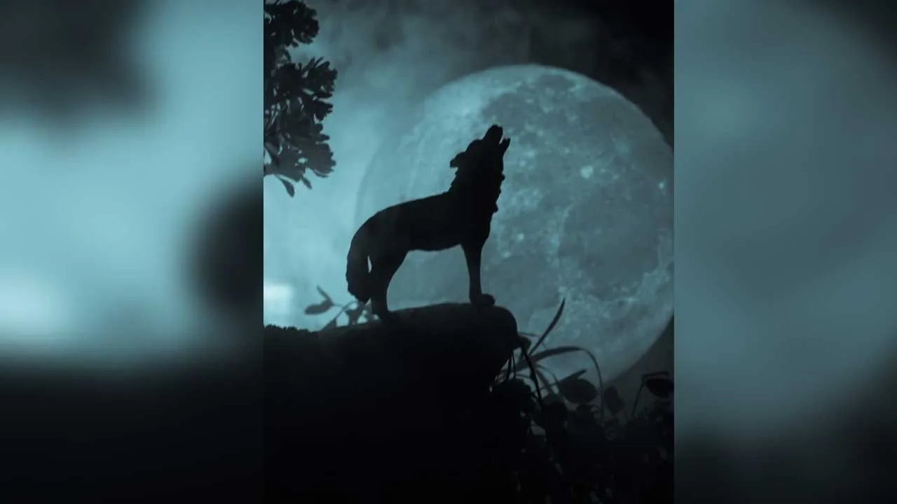 Wolf Moon