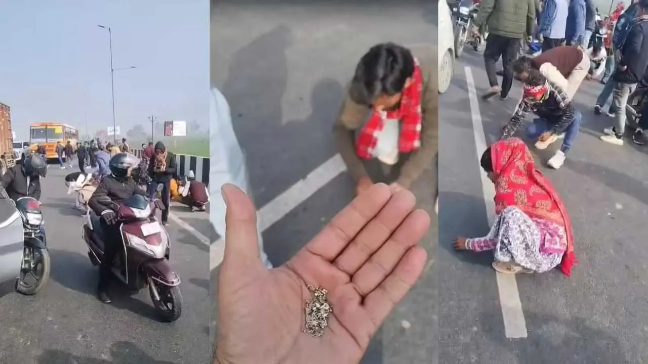 Silver Scattered-Hapur