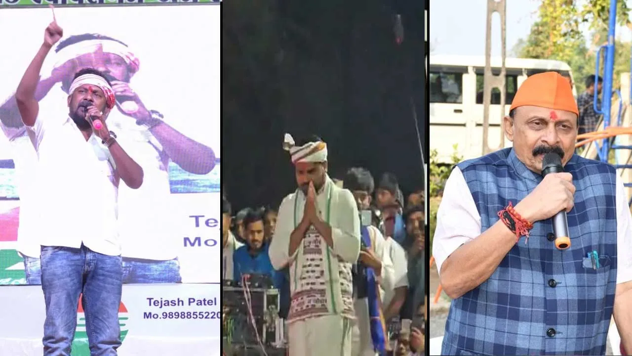 ભાજપના MLAએ ચૈતર વસાવા અને અનંત પટેલને સિંહ કહ્યા, સભામાં હાજર BJPના કાર્યકરો અને હોદ્દેદારો પણ સ્તબ્ધ