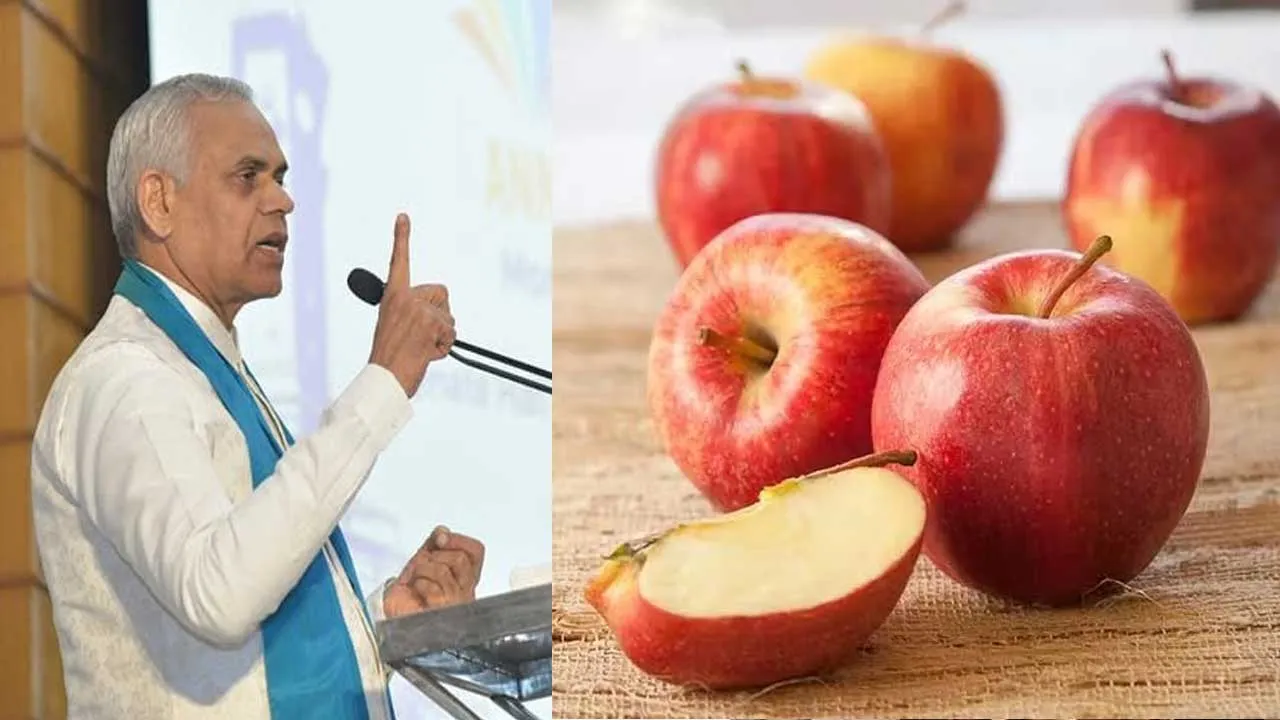 સફરજન ખાવાથી કેવું જોખમ? રાજ્યપાલ આચાર્ય દેવવ્રતે આ શું કહી દીધું? ગાયનો કર્યો ઉલ્લેખ