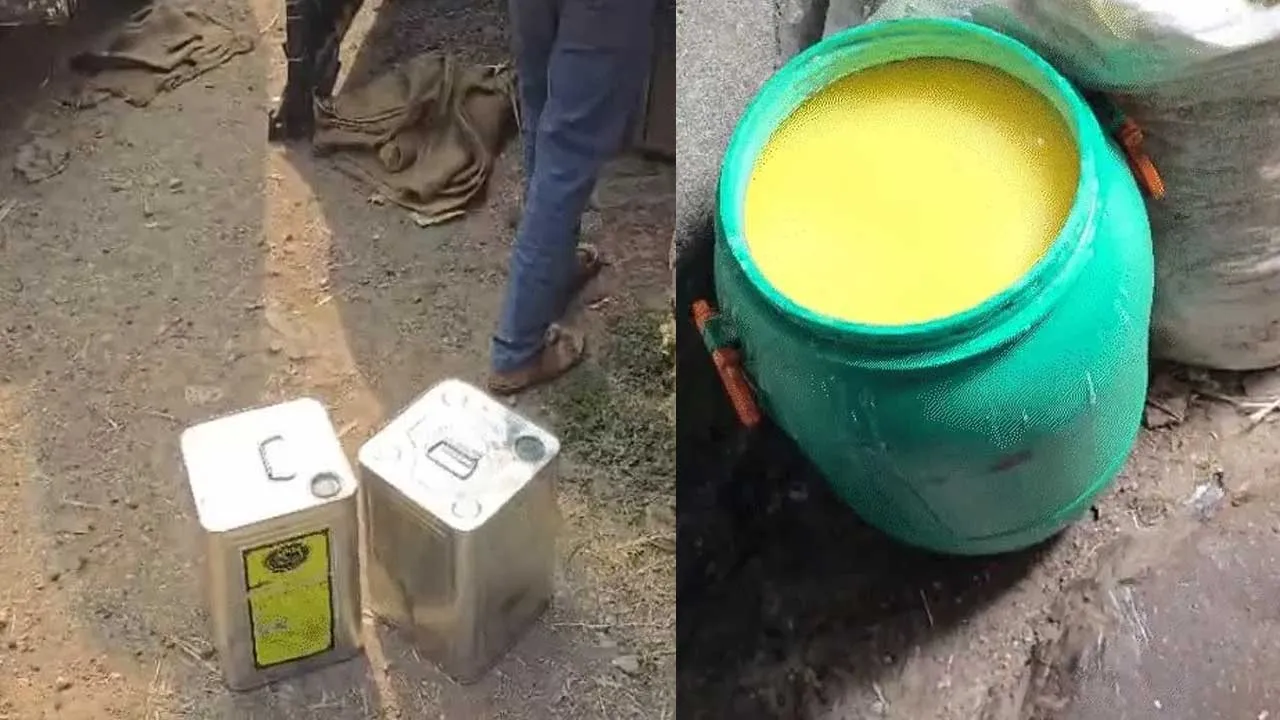 સુરતમાં વધુ એક નકલી ઘીનું કારખાનું મળ્યું ઝડપાયું, કુલ 2,11,865 રૂપિયાનો મુદ્દામાલ જપ્ત